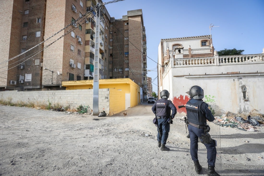 Policía Nacional ha registrado 36 viviendas y ha encontrado centenares de plantas de marihuana