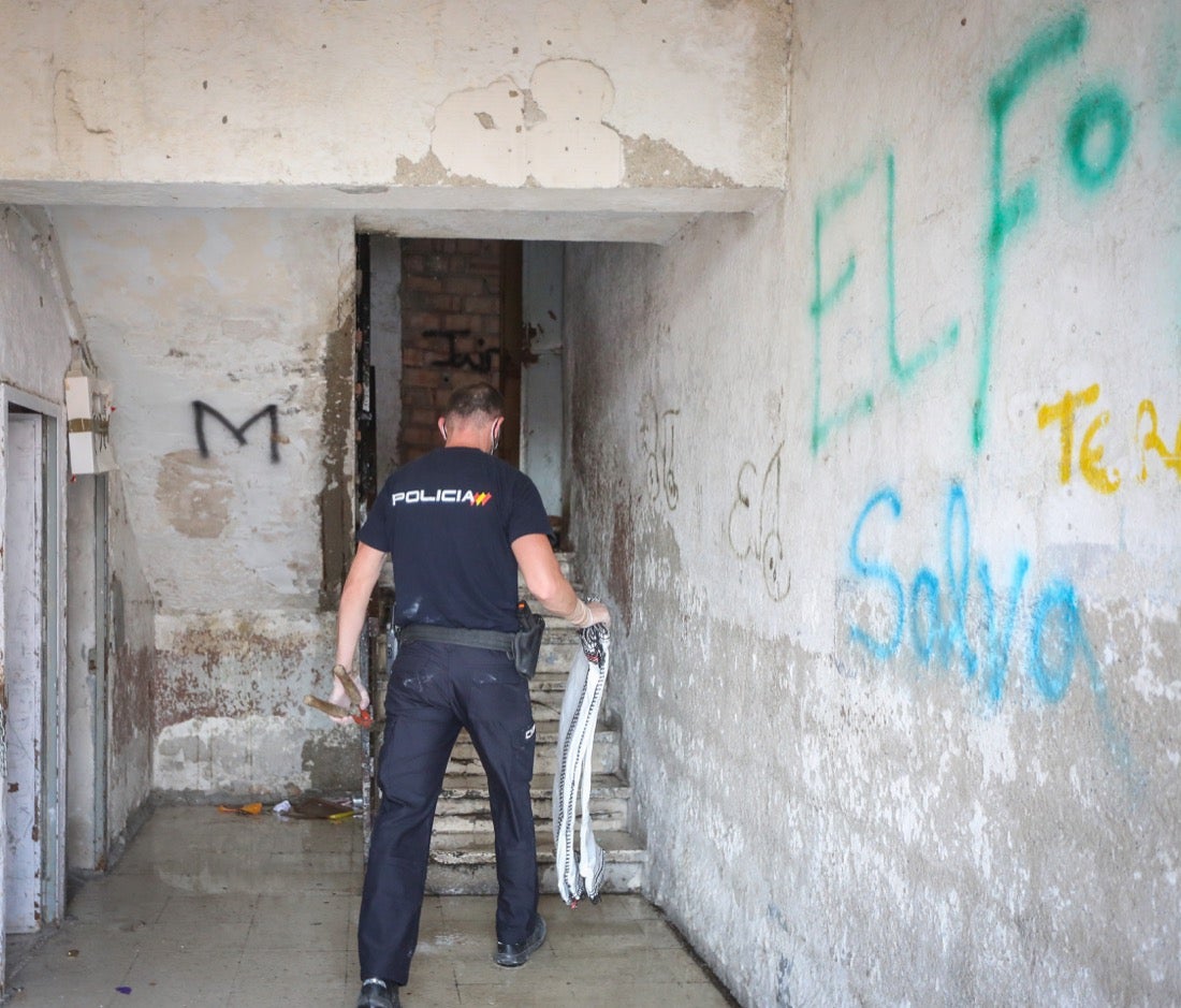 Policía Nacional ha registrado 36 viviendas y ha encontrado centenares de plantas de marihuana