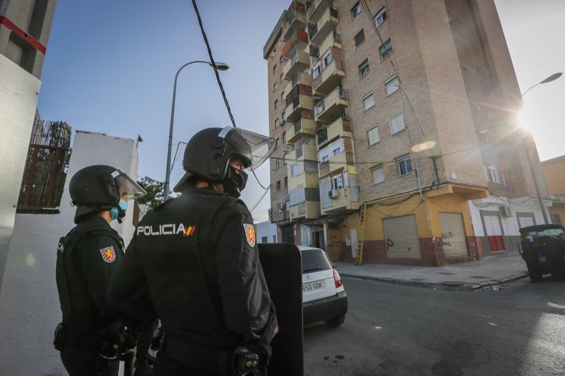 Policía Nacional ha registrado 36 viviendas y ha encontrado centenares de plantas de marihuana