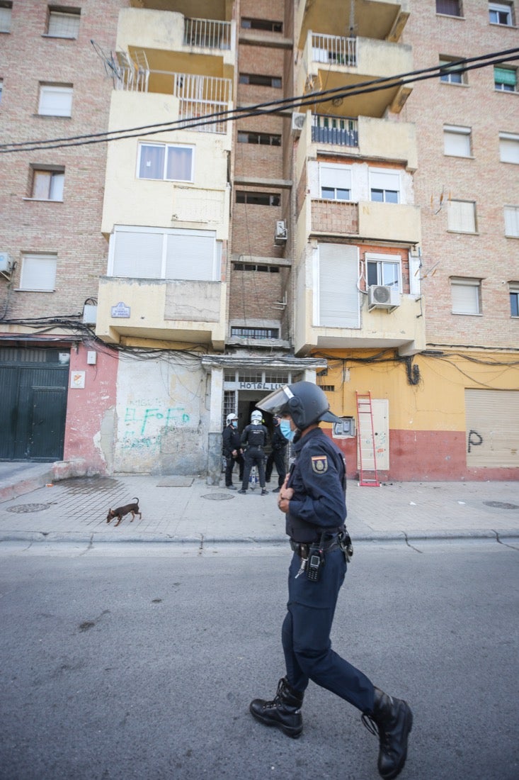 Policía Nacional ha registrado 36 viviendas y ha encontrado centenares de plantas de marihuana