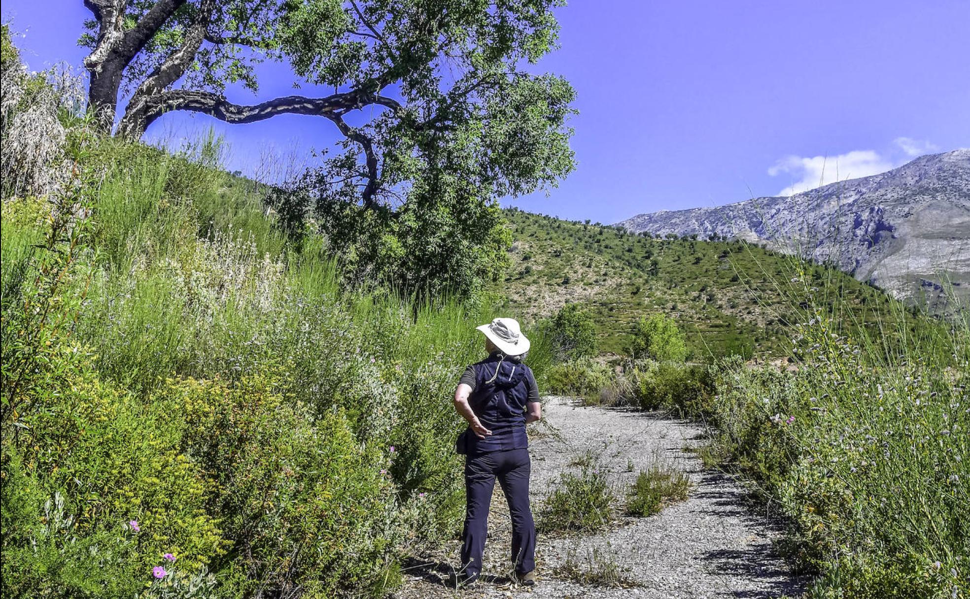 Lújar (Granada), cinco años después del incendio