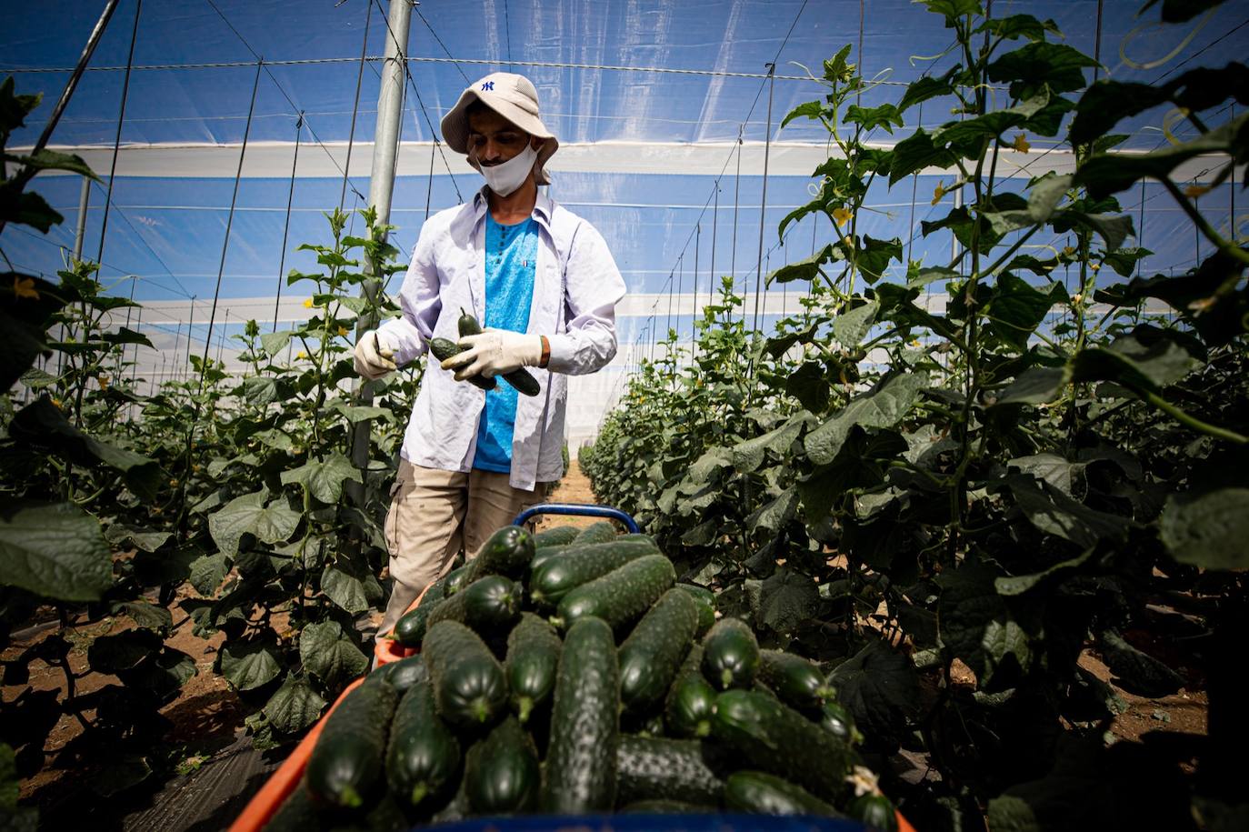 Fotos: Un brote con 15 temporeros confinados inquiera a Játar