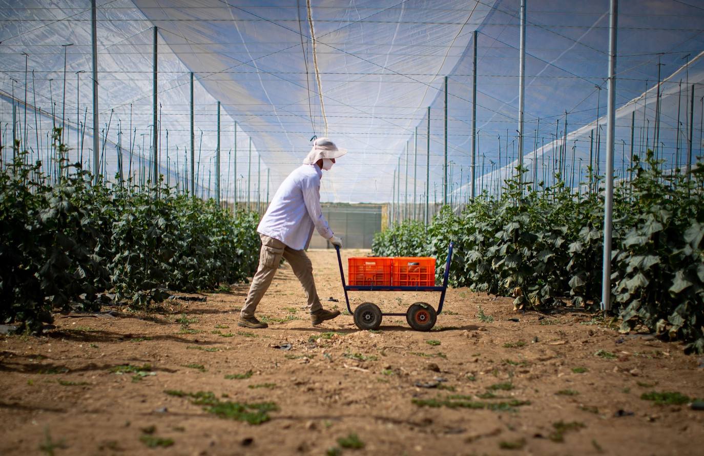 Fotos: Un brote con 15 temporeros confinados inquiera a Játar