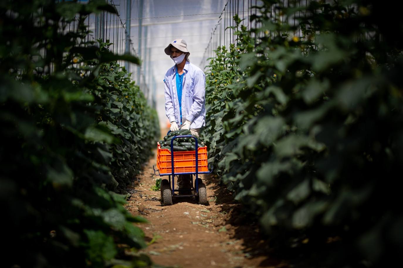 Fotos: Un brote con 15 temporeros confinados inquiera a Játar