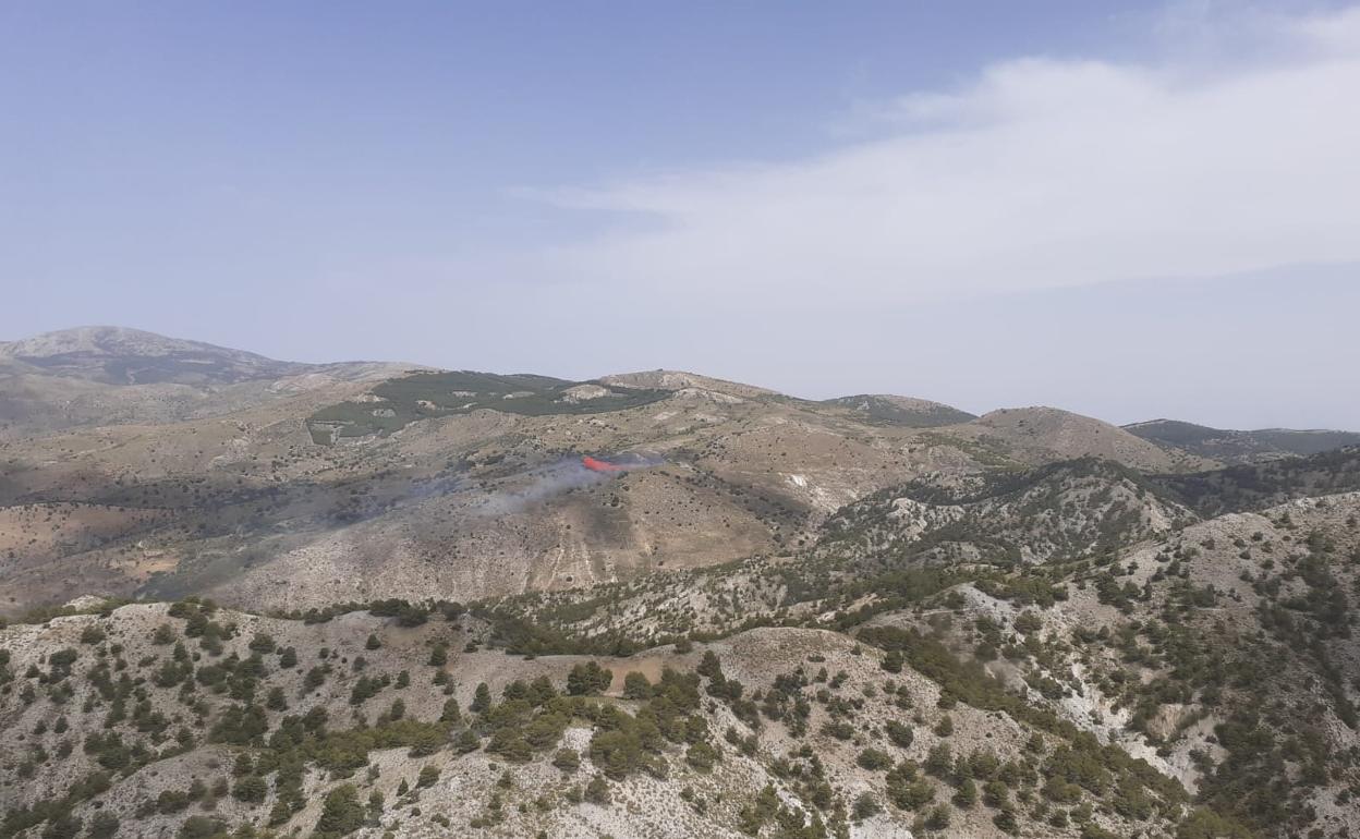 Incendio forestal del pasado 24 de junio en el paraje conocido como «Cortijo del Aire»