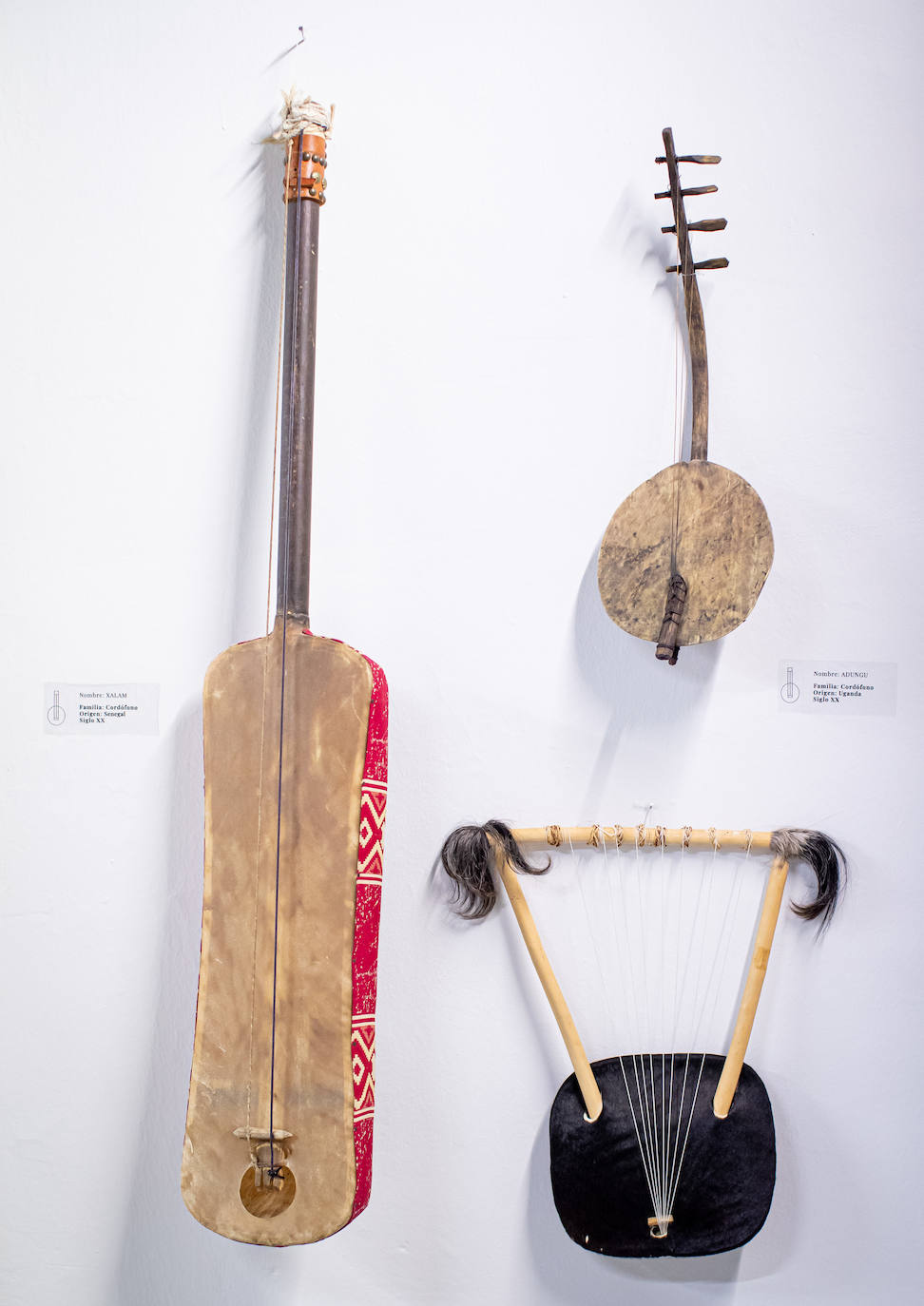 Fotos: Instrumentos del Mundo de la colección de Manuel Mateo