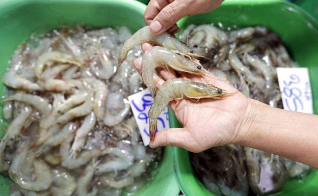 Encuentran coronavirus en paquetes de unas gambas congeladas que llegaron a China