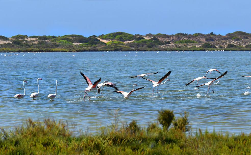 Dunas y flamencos entre Alborán y 'Mar de Plástico'