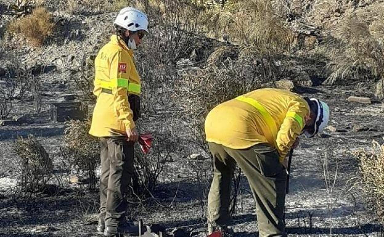 Denunciada una persona acusada de originar el incendio de Sierra Cabrera, que quemó 200 hectáreas