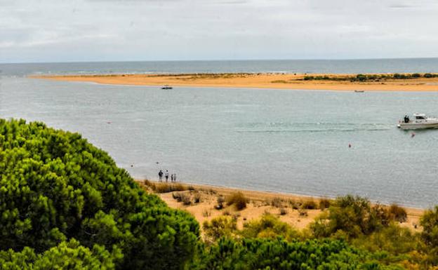 Imagen principal - Dunas, caños y marismas en las orillas del Atlántico