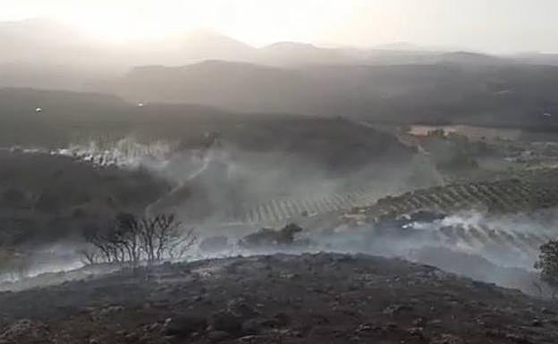 Controlado un incendio forestal en Iznalloz