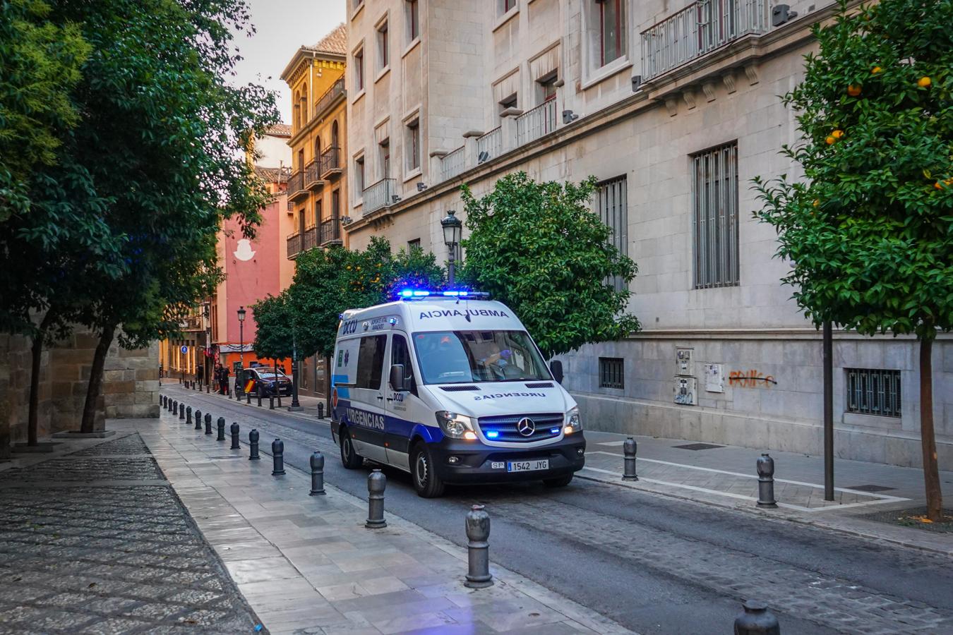 Fotos: Tiroteo en Granada: La Policía reduce a un hombre de nacionalidad extranjera junto a la Catedral
