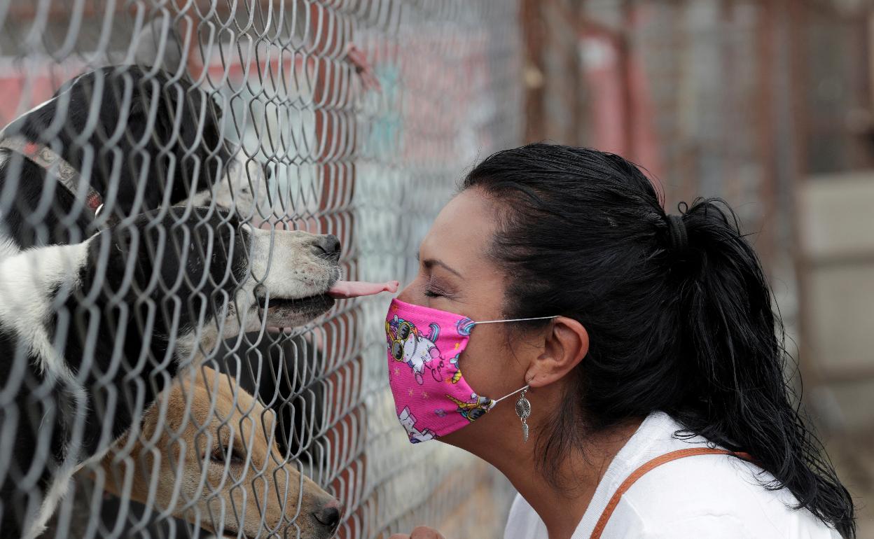 Una mujer con mascarilla juega con unos perros.