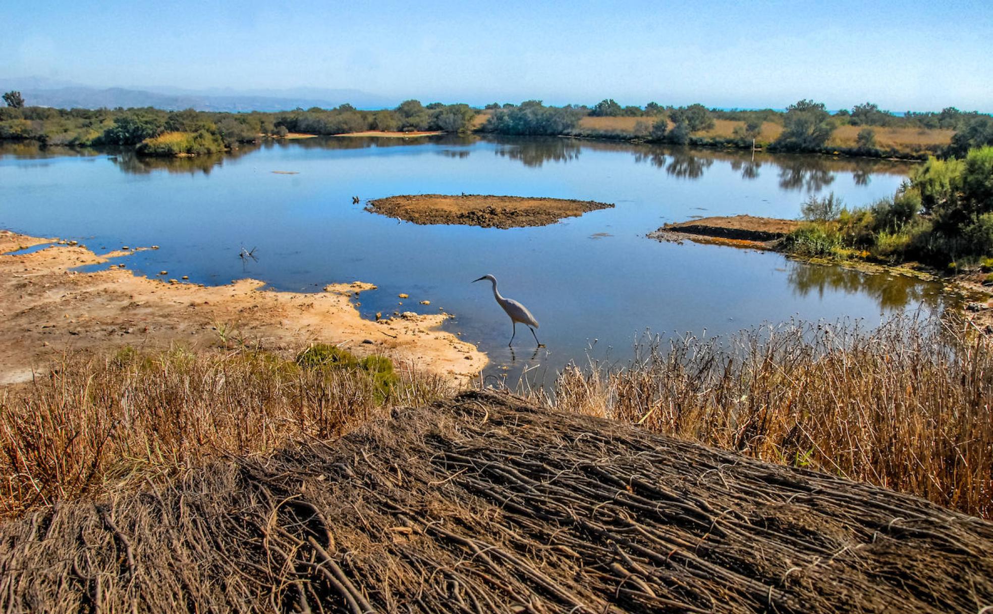 La 'isla de los pájaros', un oasis al borde de Málaga