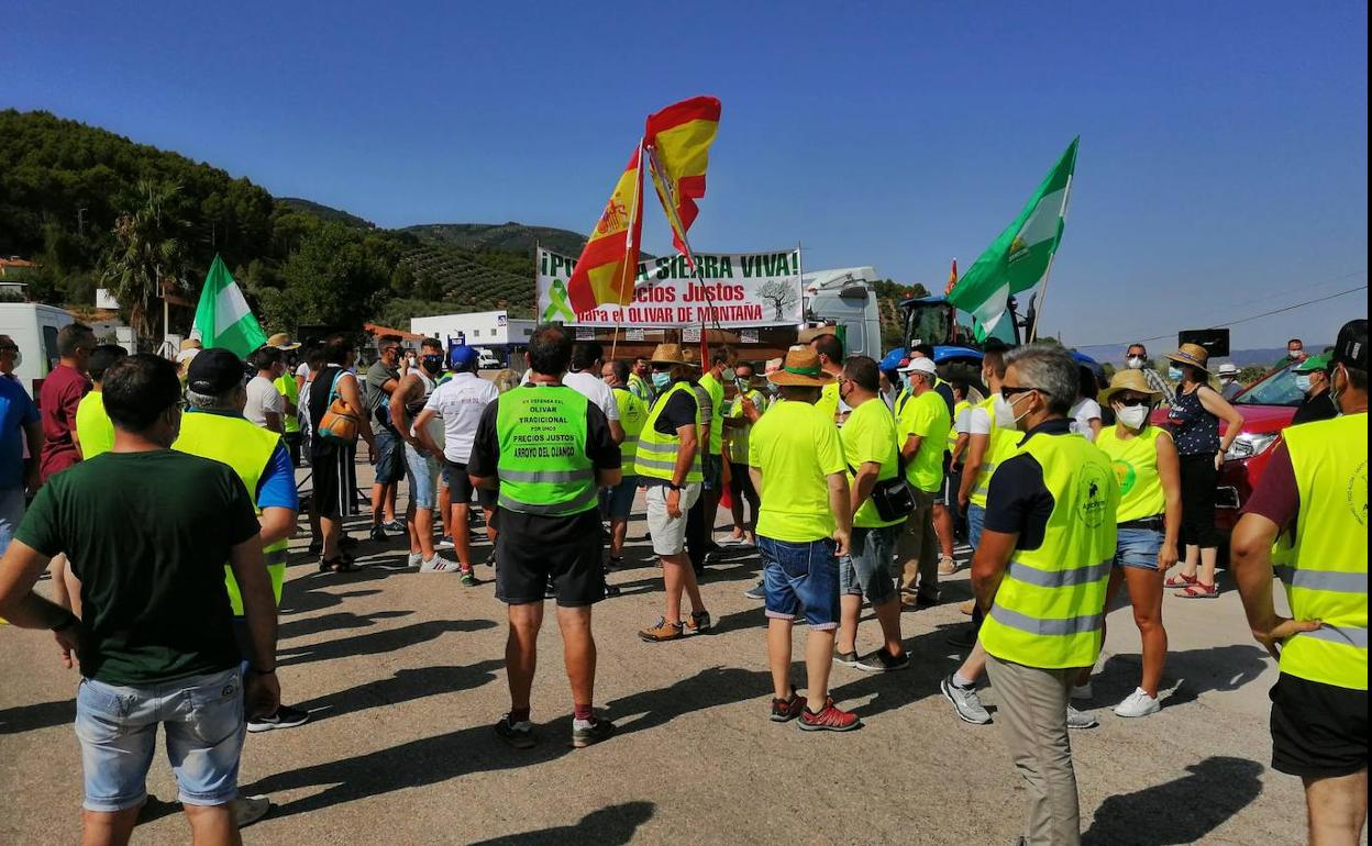 Lectura del manifiesto. 