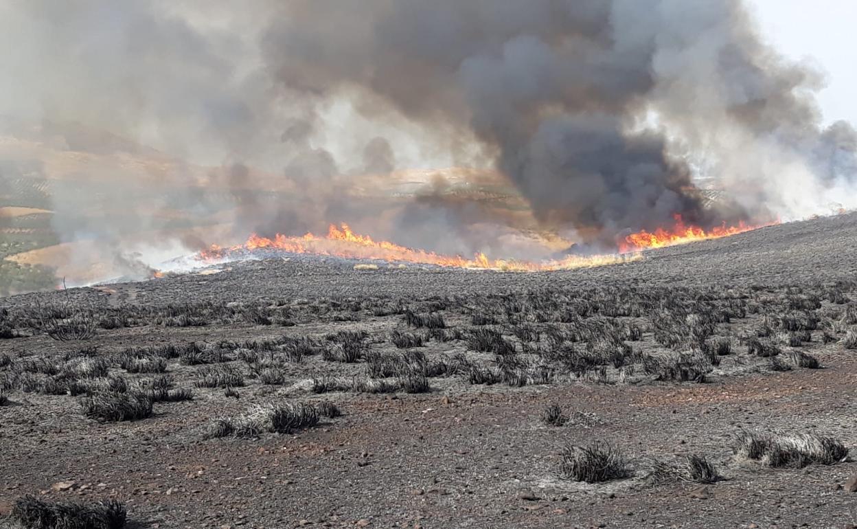 Extinguido el incendio de Jódar, que ha afectado a dos hectáreas de matorral y 22 de pasto