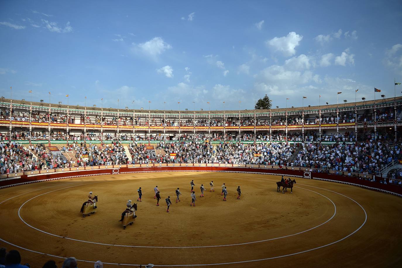 toros.jpg