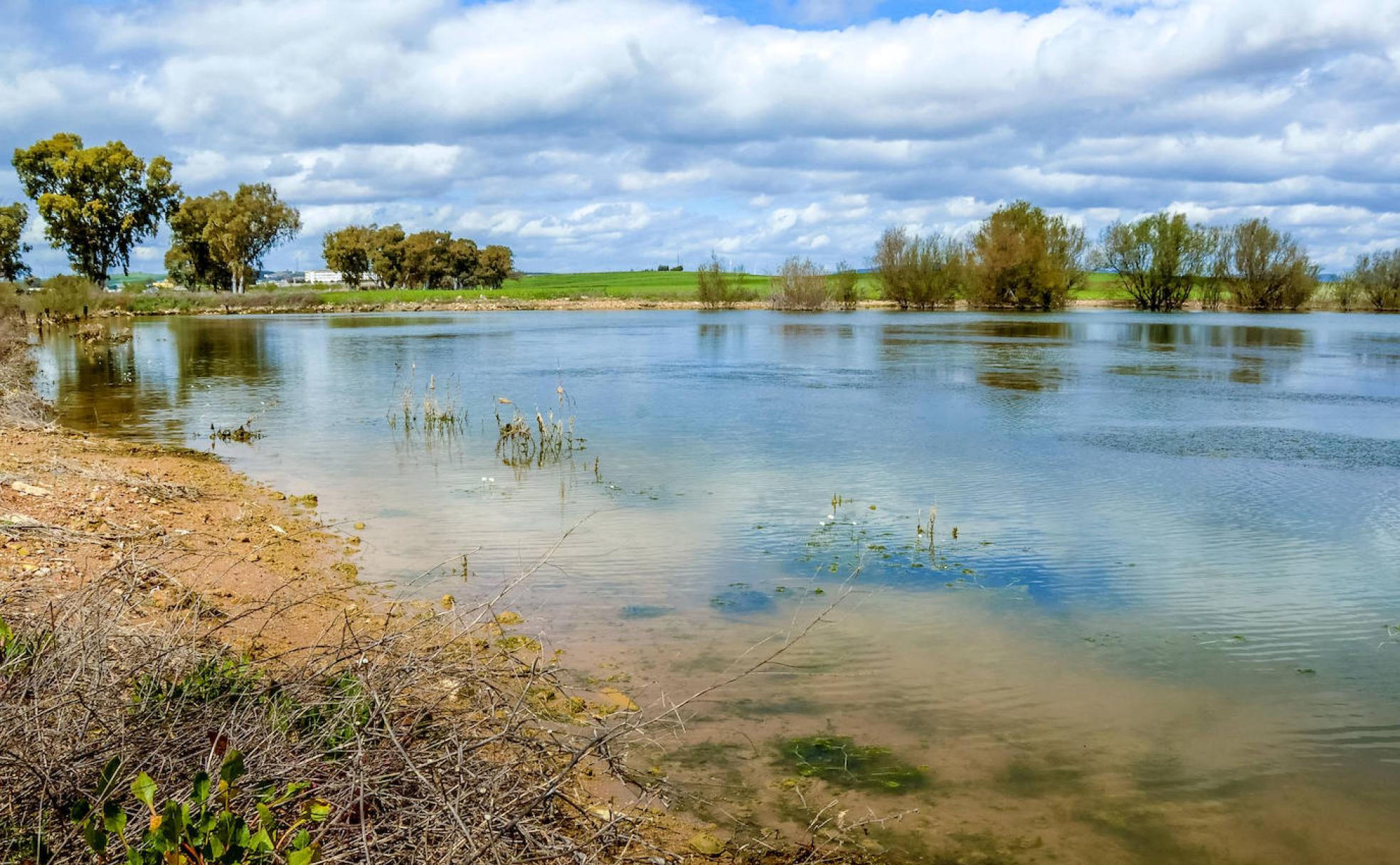 Lagunas en el centro de Andalucía