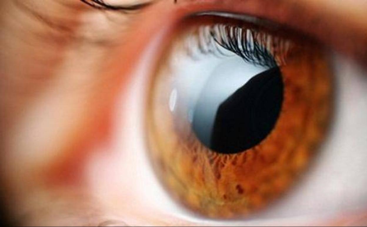 La foto en los ojos que puede salvar vidas