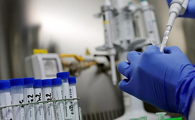 ¿Qué vacunas hay en marcha? ¿Es posible hacerla rápido y bien como pretende Rusia?