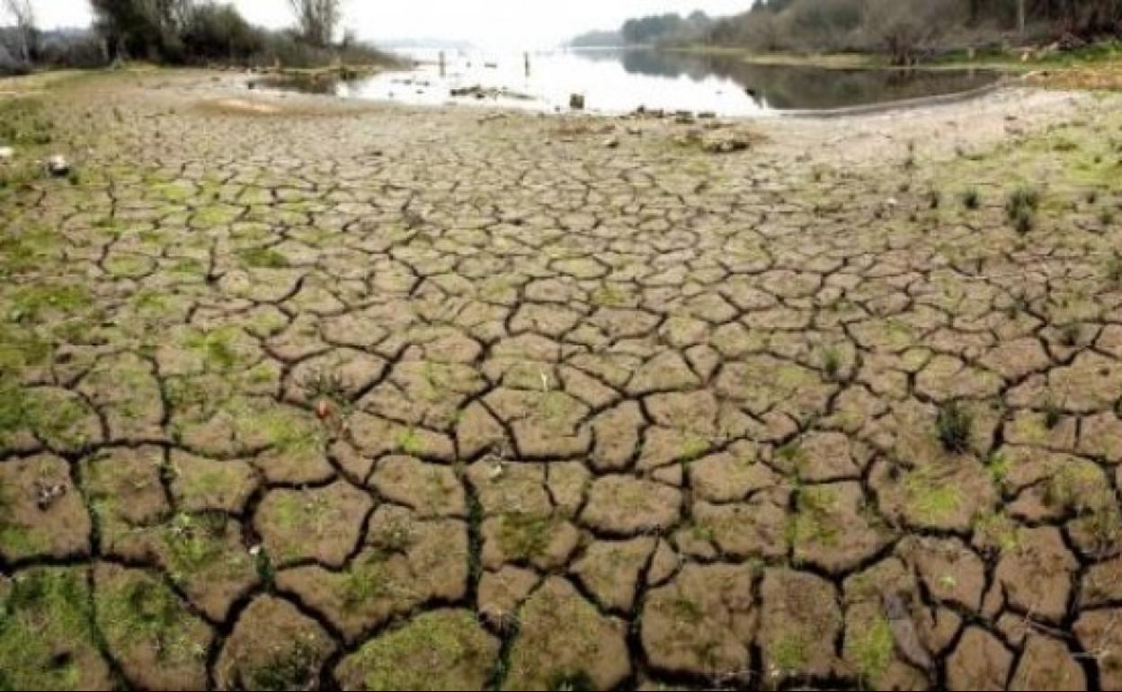 La Tierra ha llegado este sábado a su sobrecapacidad natural de todo el año