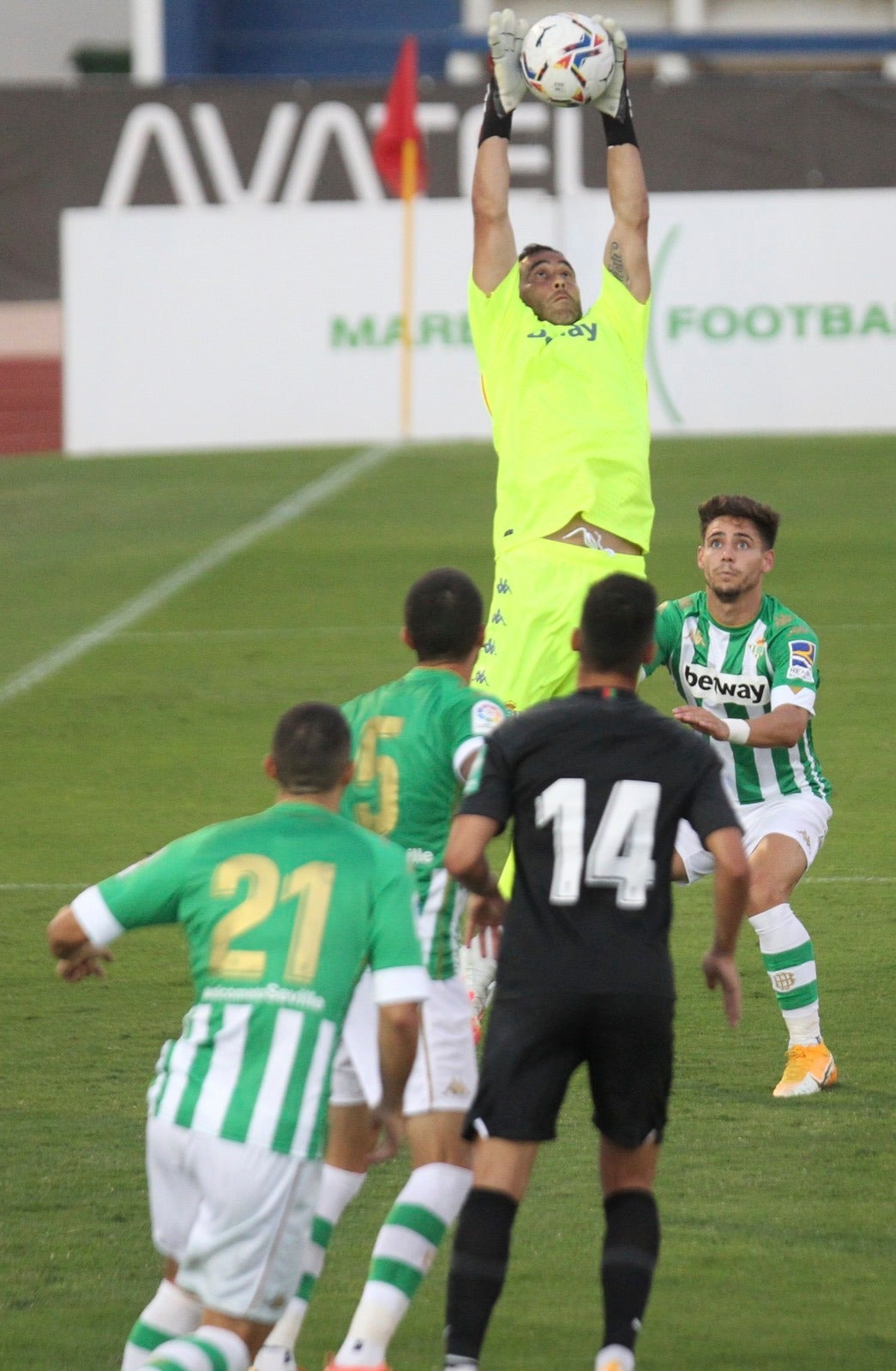 Derbi andaluz en el Municipal de Marbella con el debut de Alberto Soro como principal atractivo rojiblanco