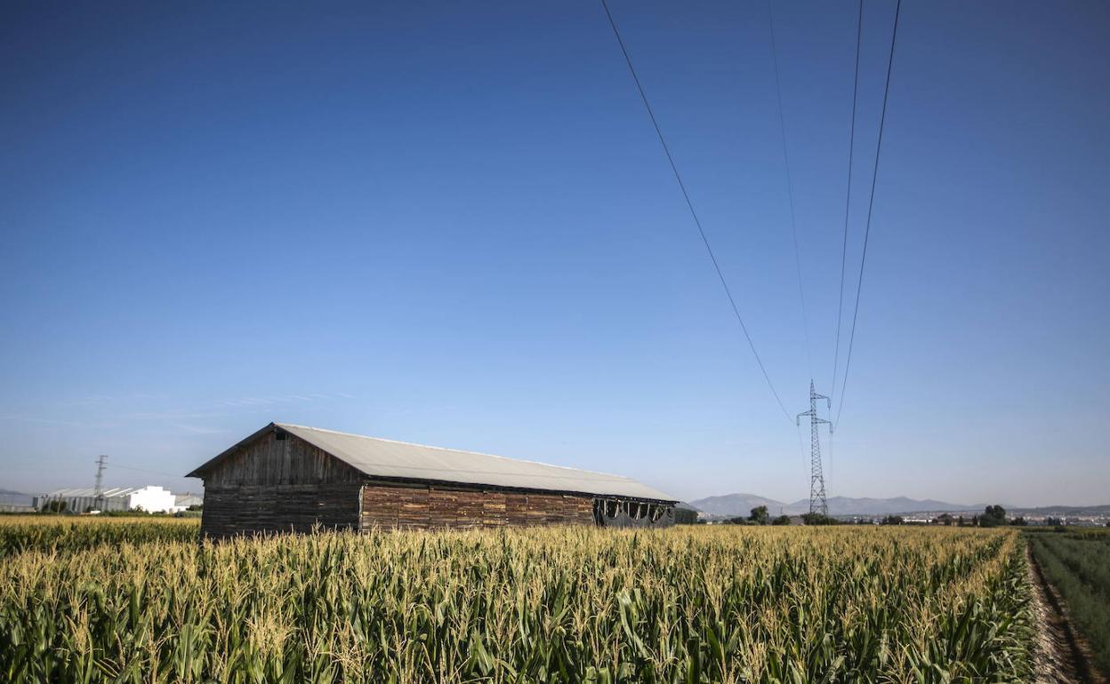 Secadero en la Vega de Granada