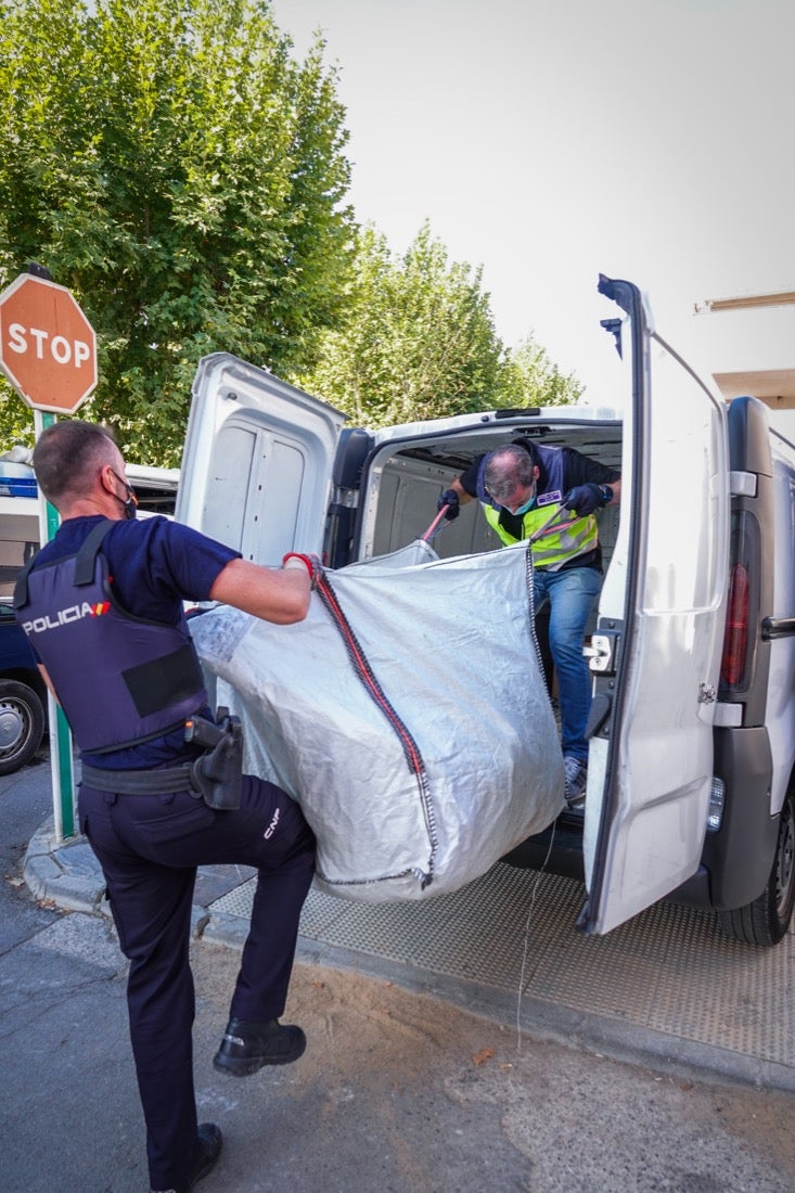 Más de veinte agentes han realizado varios registros en la zona