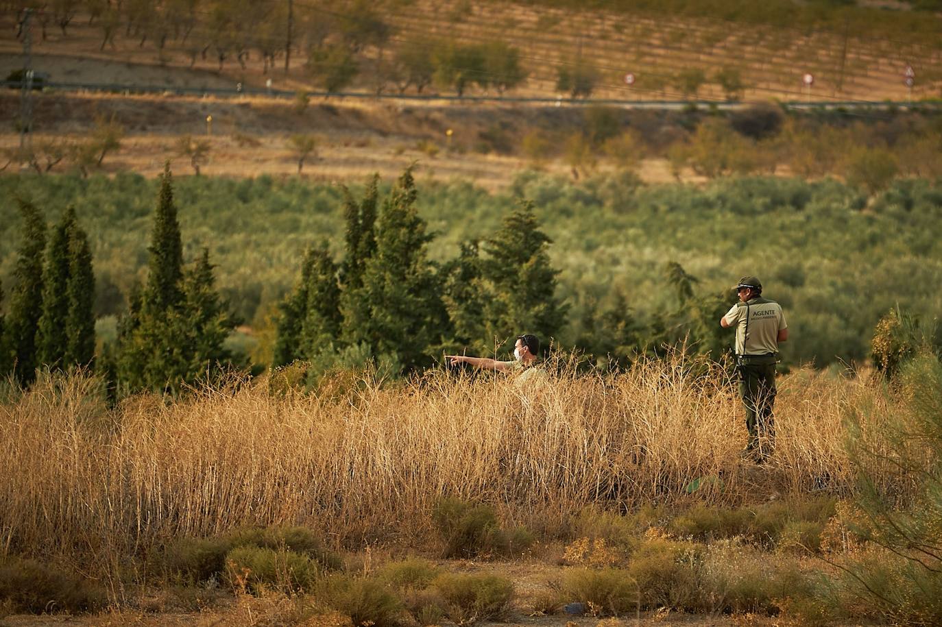 La Guardia Civil está realizando batidas con un helicóptero, patrullas de tierra y cámaras térmicas