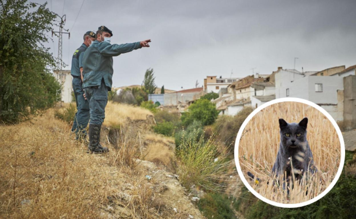 'Pantera' de Granada | Amplían la zona de búsqueda y suman una nueva herramienta para encontrarla