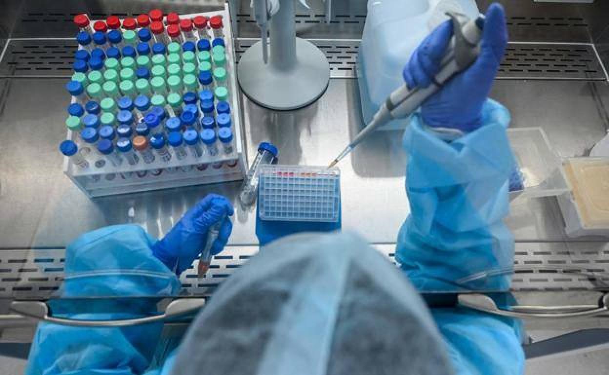 Análisis en laboratorio de la muestra de PCR. 