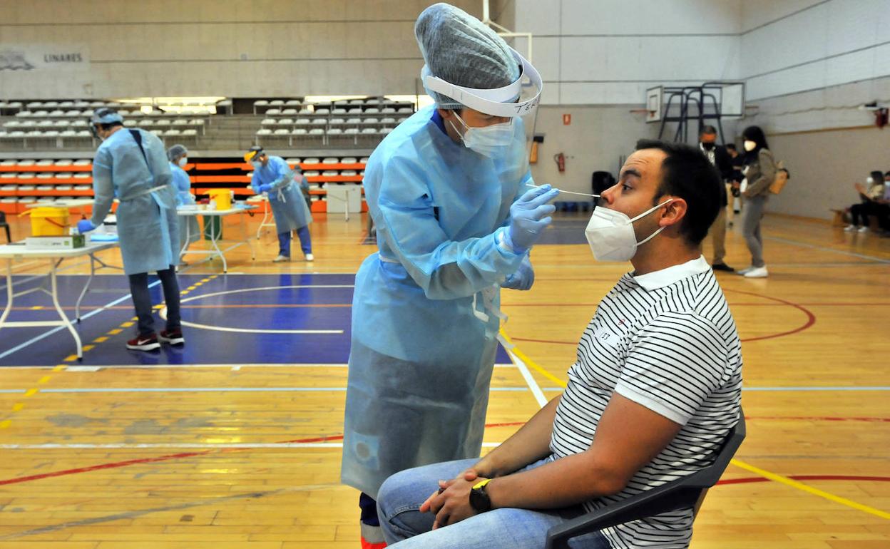 Los cribados en Jabalquinto, Siles y Santo Tomé comienzan este jueves