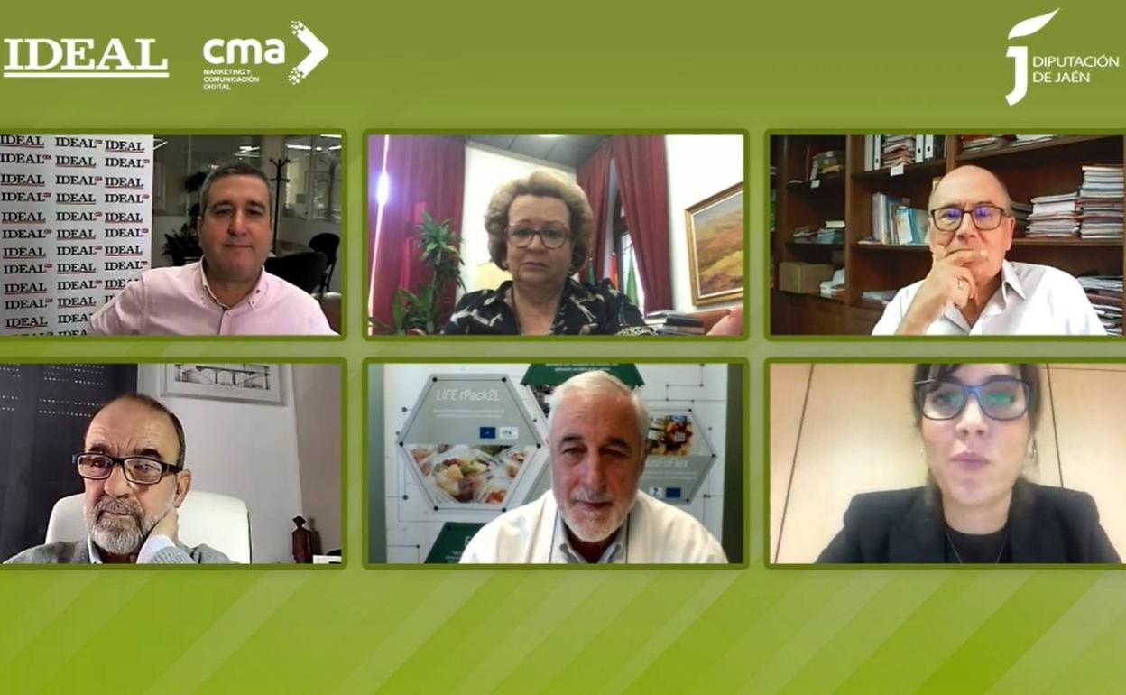 Un momento del webinar celebrado en la mañana de este viernes. 