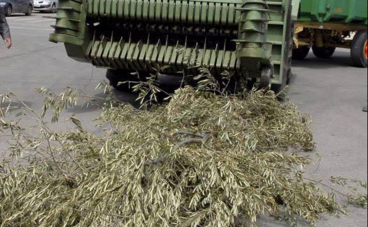 Podadora en acción. 