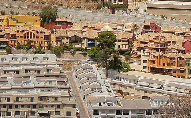 Vista del árbol en una imagen tomada en 2017.