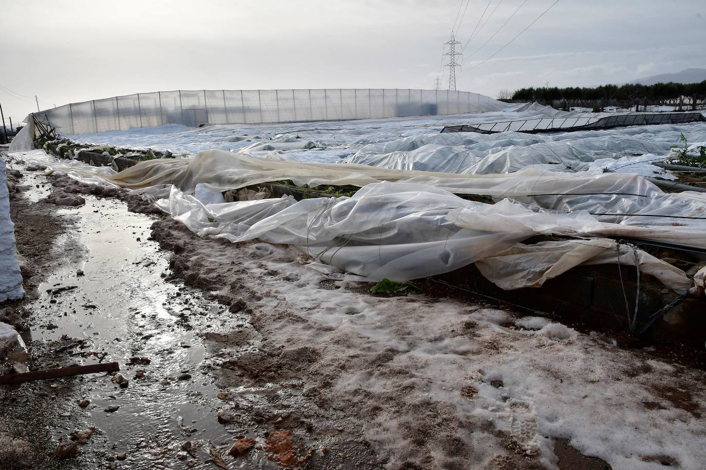 Unas 6.000 hectáreas de invernadero fueron arrasadas por la DANA del 13 de septiembre. 