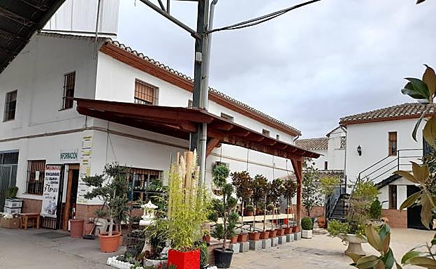 Viveros Taboada, toda una vida dedicada a las plantas