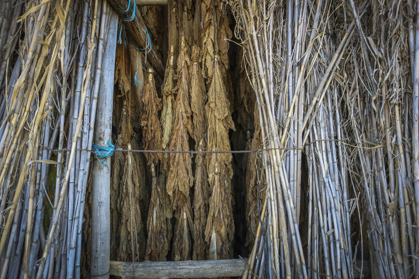 Fotos: Secaderos &#039;de palo&#039; en Cúllar Vega