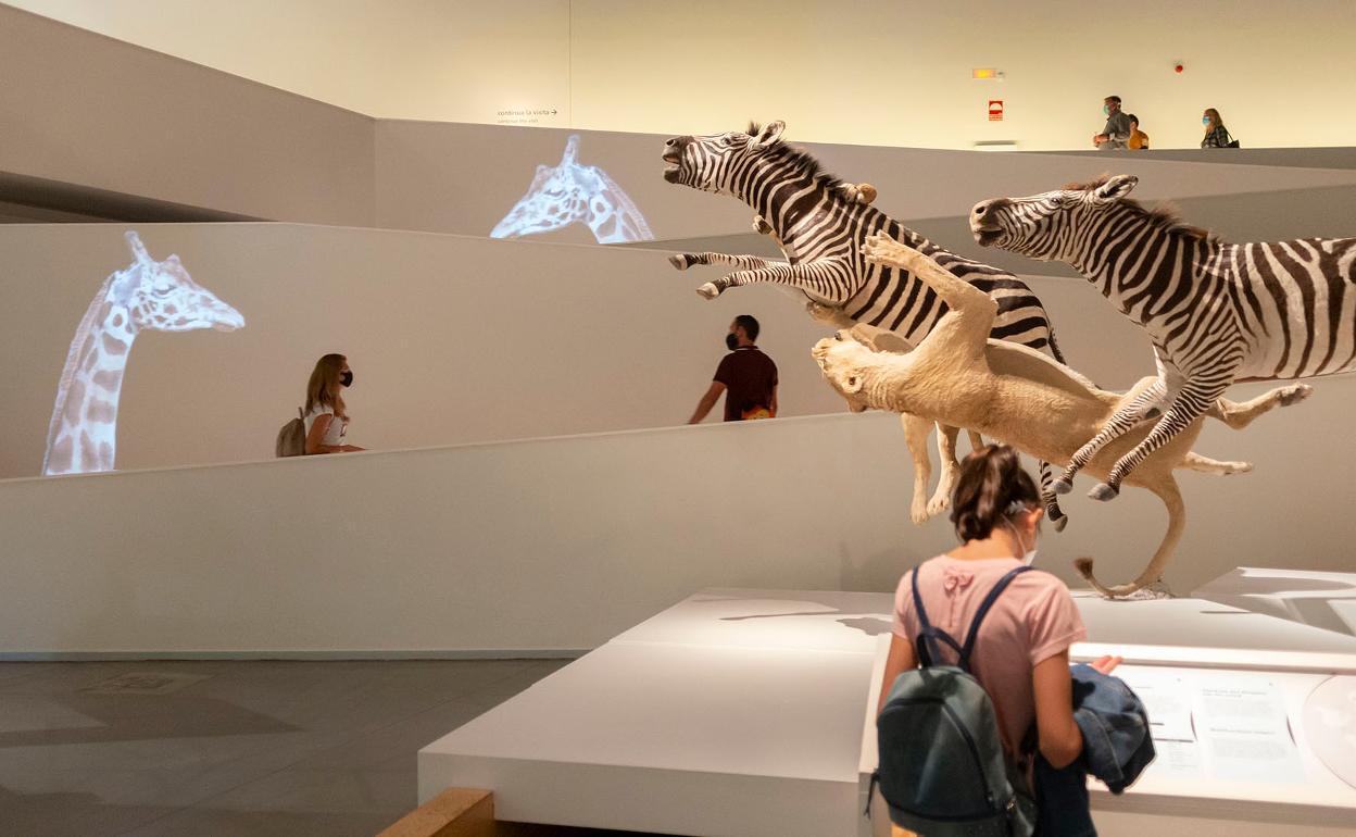 El Parque de Ciencias aprueba en el Consejo Rector su plan de actividades para 2021