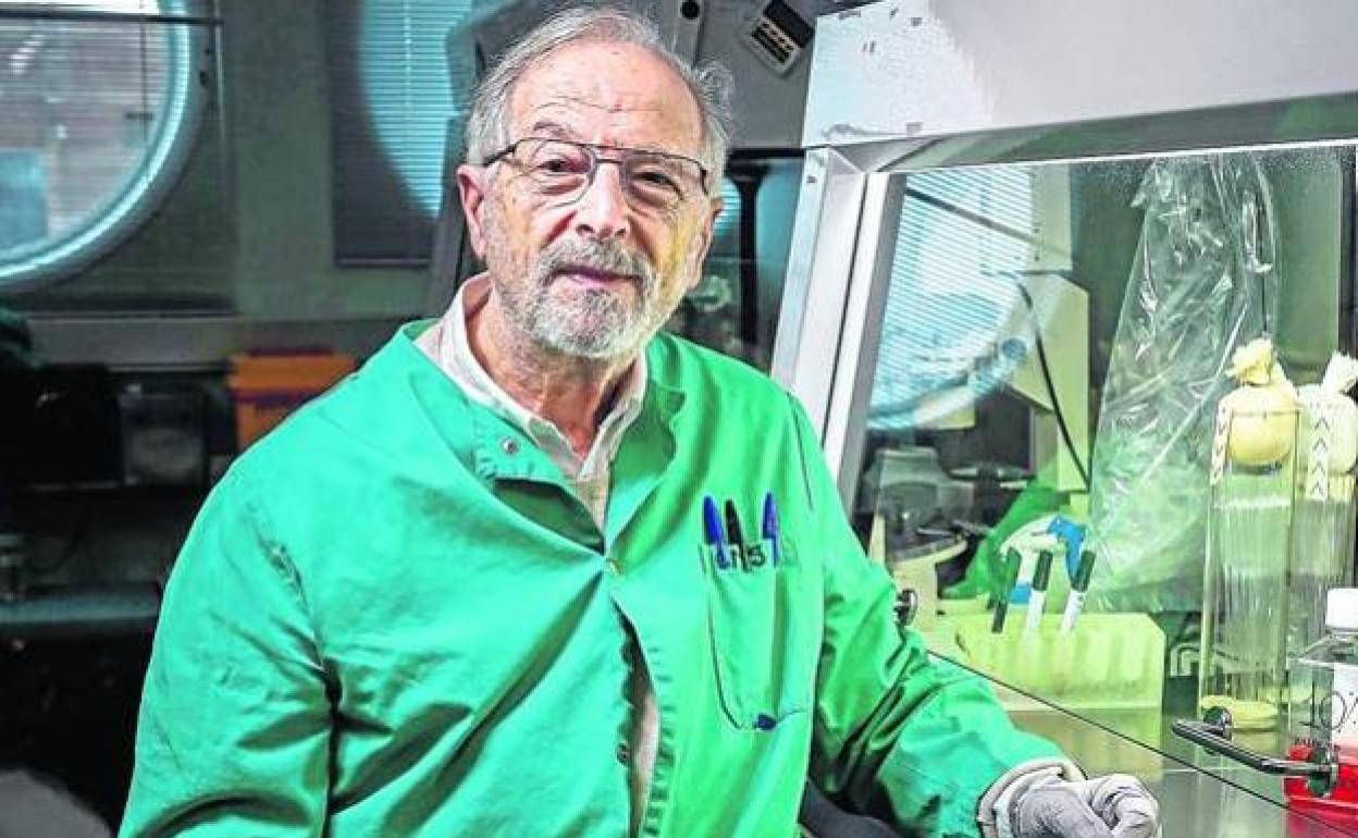 Luis Enjuanes, en el laboratorio de coronavirus del CNB-CSIC.