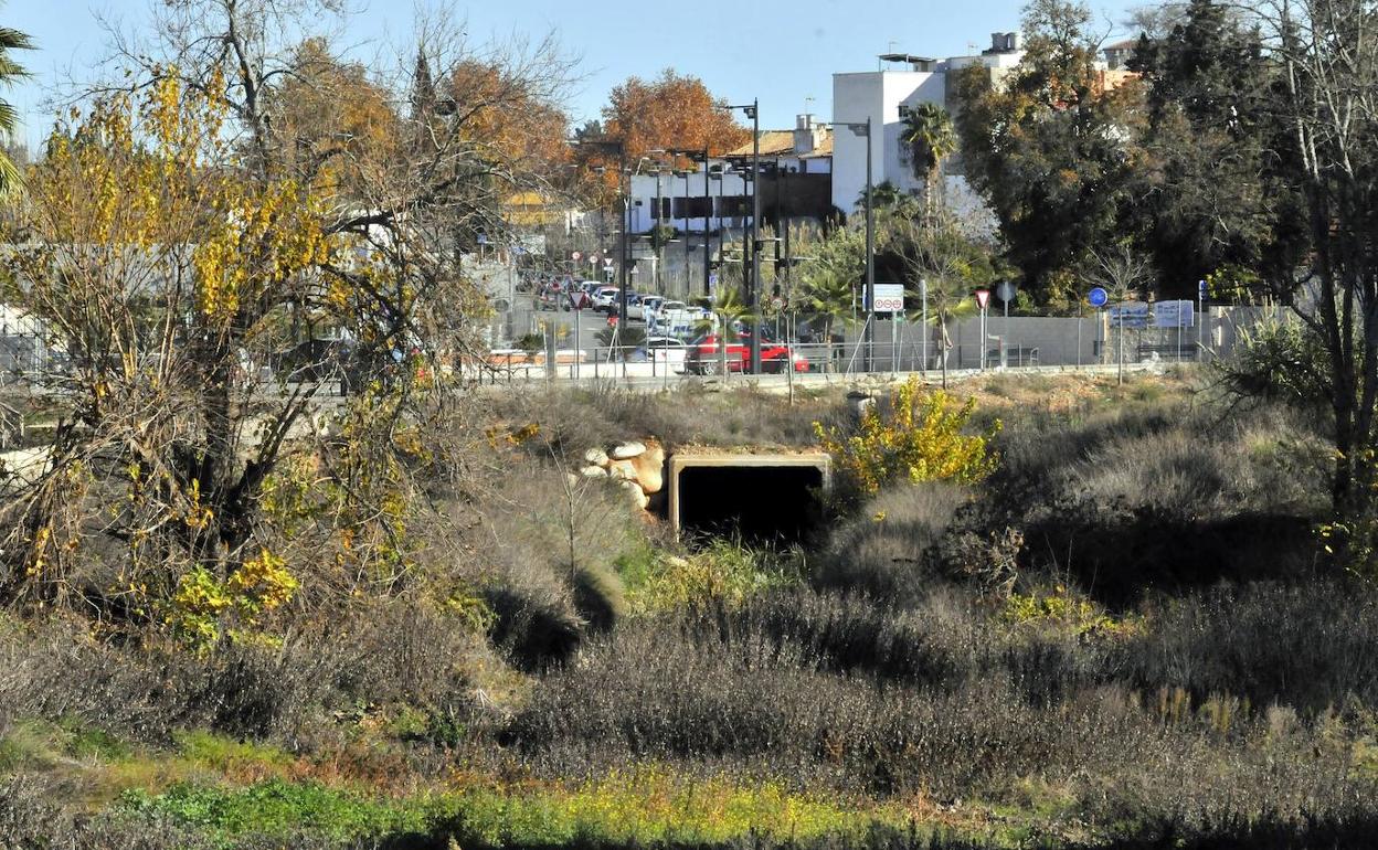 Parte del cauce del arroyo Periquito Melchor pendiente de intervenir. 