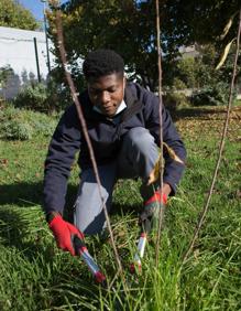 Imagen secundaria 2 - Kwabena, en plena faena. 