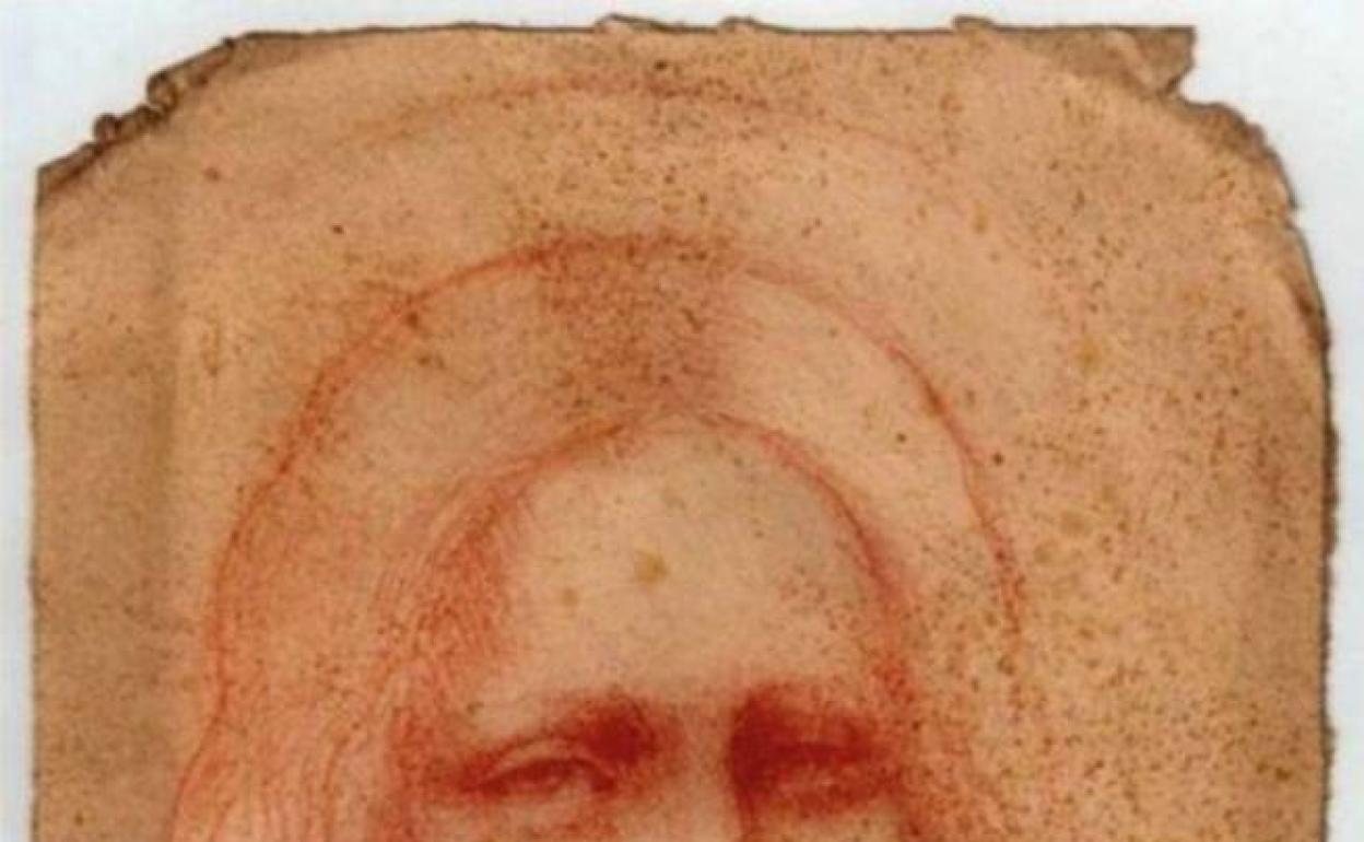 Detalle del dibujo atribuido a Leonardo da Vinci por Analissa Di Maria. 