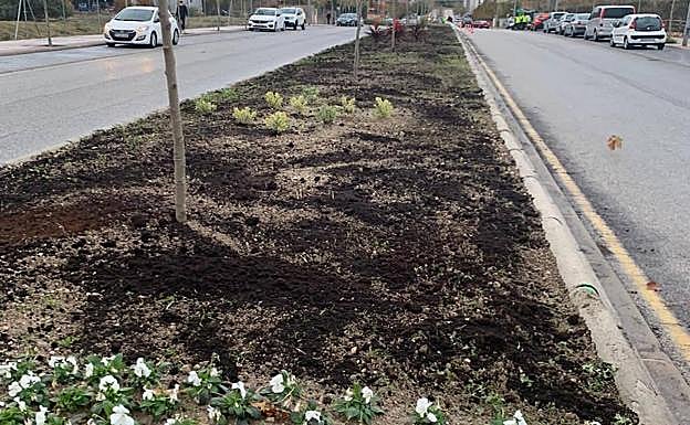 Mediana de la calle Catalina Mir, en la capital jienense. 