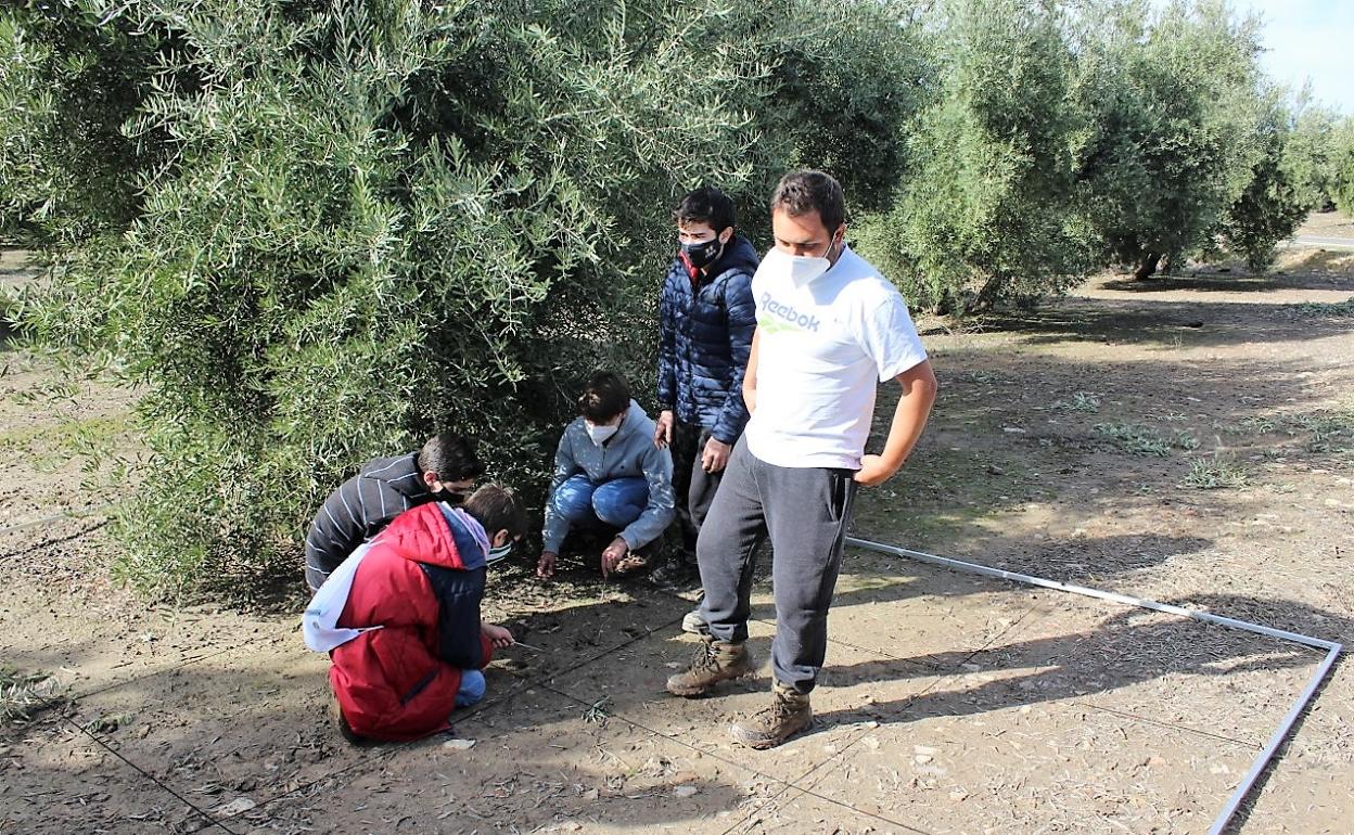 Los alumnos trabajaron en El Dorado. 