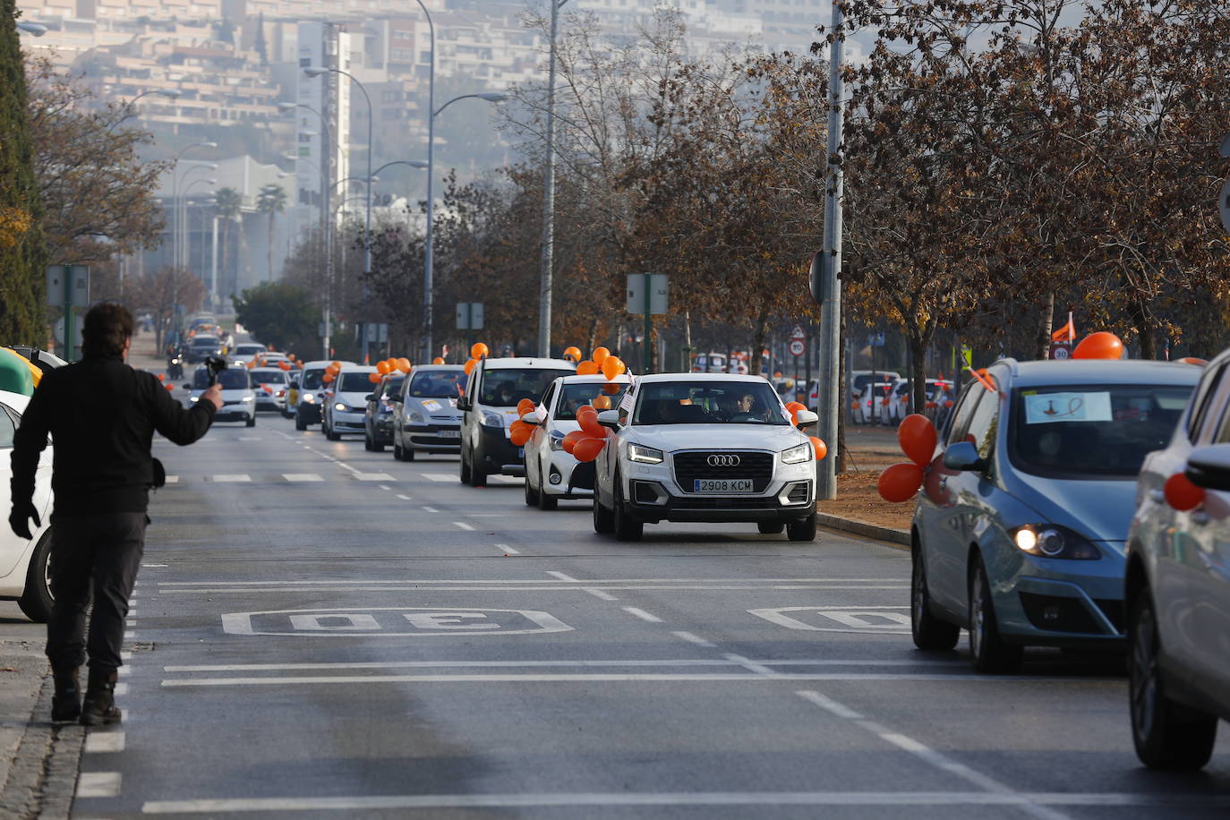 Cientos de coches recorren nuevamente las calles de la ciudad