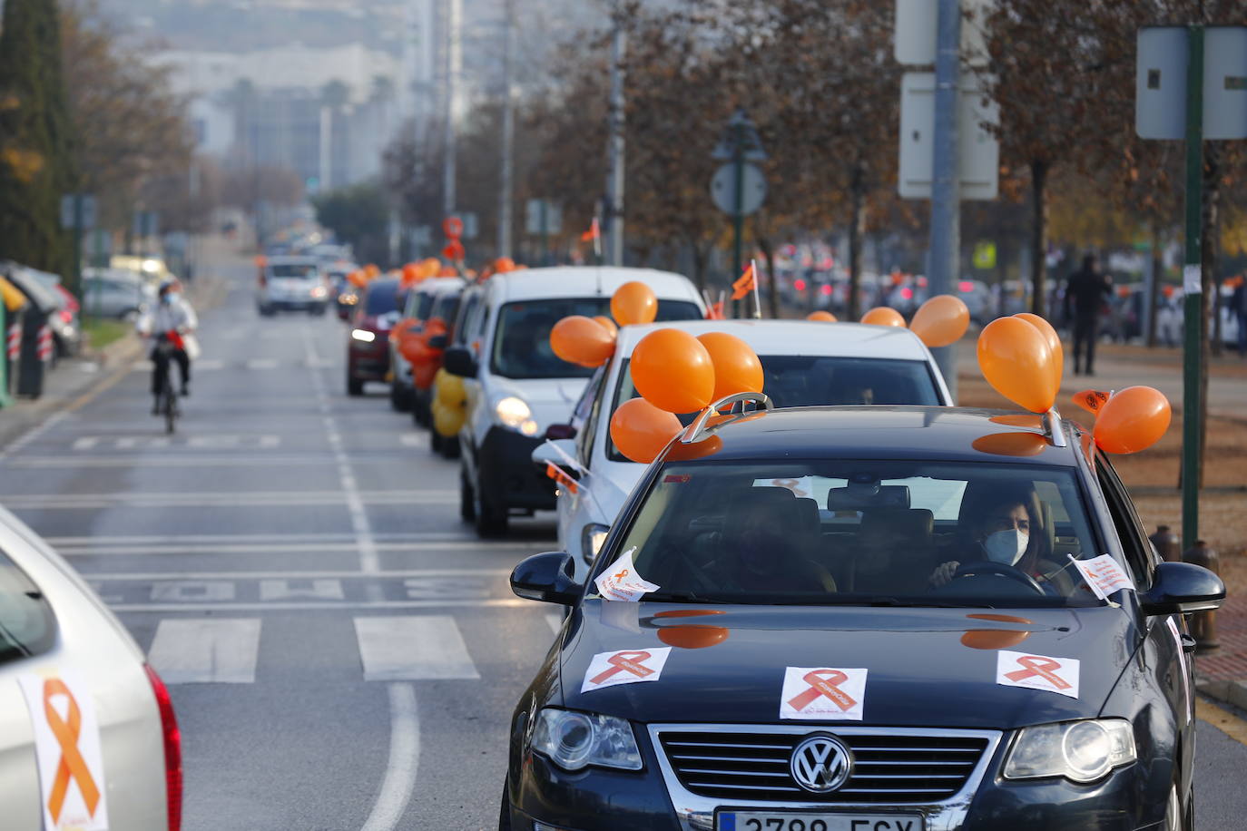 Cientos de coches recorren nuevamente las calles de la ciudad