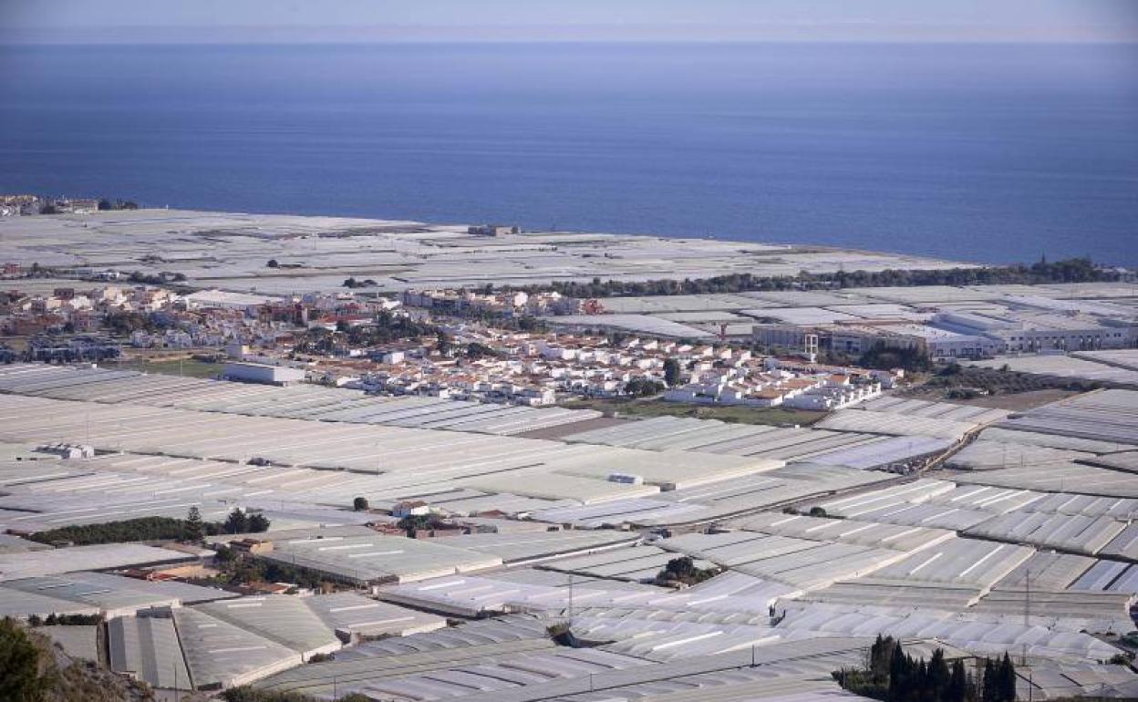 Junta y ayuntamientos de la Costa vigilarán los invernaderos para frenar el vertido de plástico