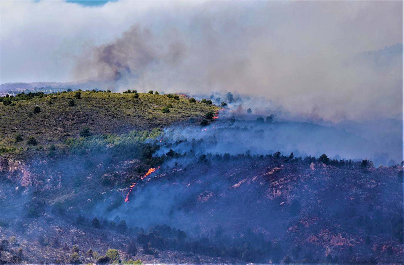 Fotos: Un incendio forestal en Órgiva obliga a desalojar una residencia de ancianos