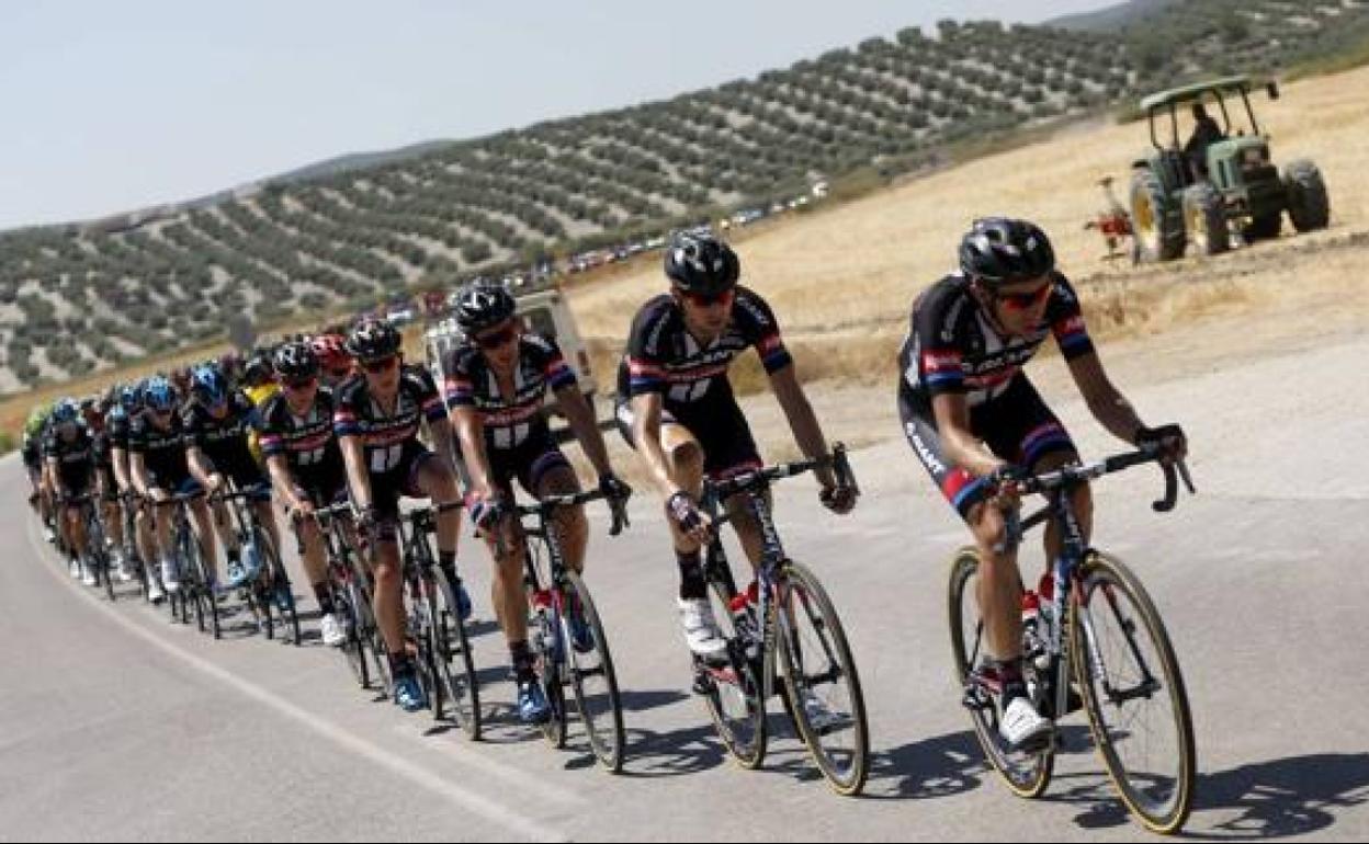 Ciclistas en una prueba en Jaén